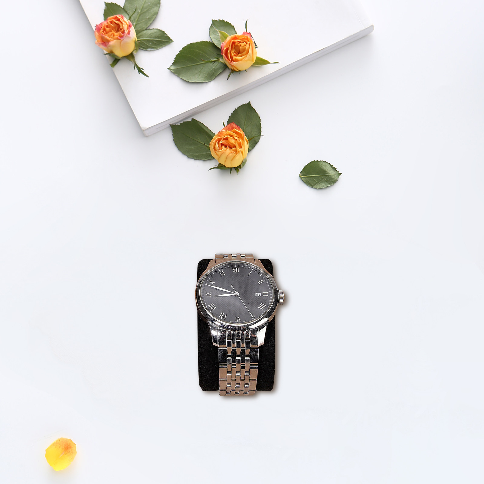High Elastic Sponge Watch Pill - đánh giá và giá Watch Display Box